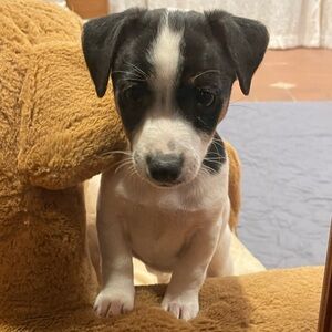 Meet your Posher, Rhiana